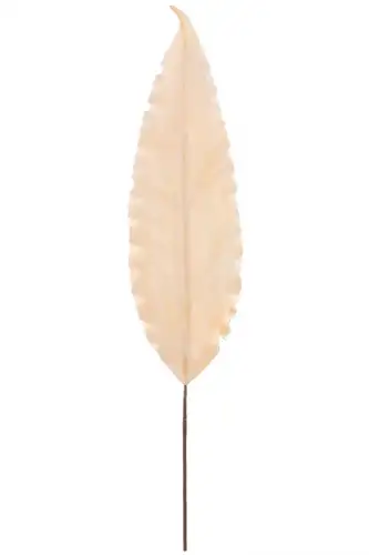 Floare decorativa spuma, Leaf